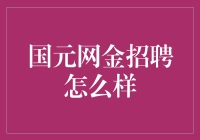 国元网金：创新金融的绿色新航线