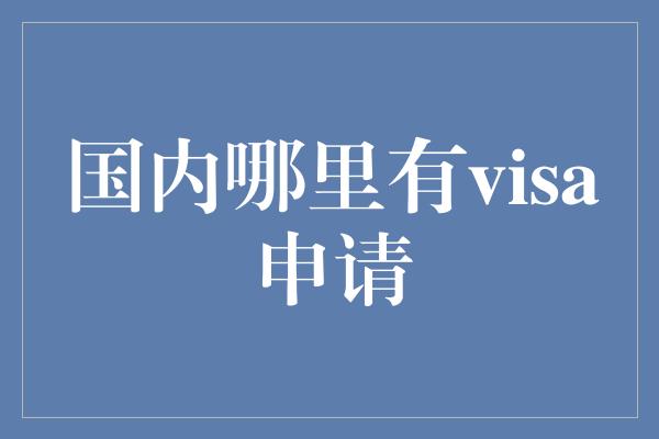 国内哪里有visa申请