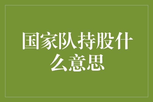 国家队持股什么意思