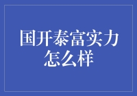 国开泰富：实力与业务分析