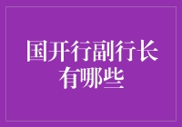 中国国家开发银行副行长：从政策制定者到执行者的角色转换