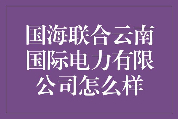 国海联合云南国际电力有限公司怎么样