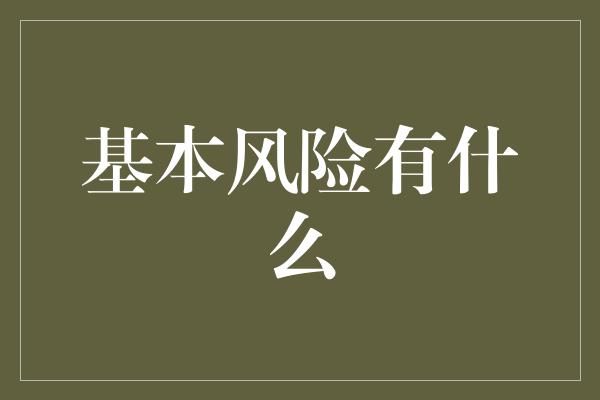 基本风险有什么