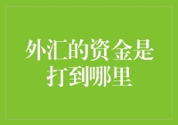 外汇交易中的资金流向解析：揭秘外汇交易背后的金融运作机制