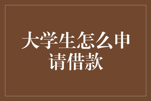 大学生怎么申请借款