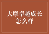 大摩卓越成长基金：稳健与成长的深度融合