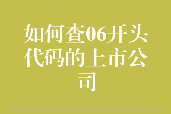 如何查06开头代码的上市公司