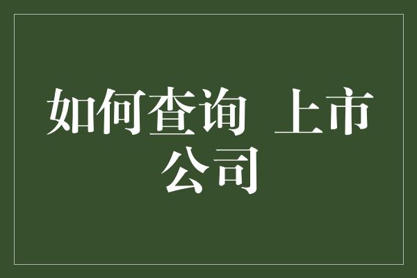 如何查询  上市公司