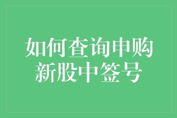 如何查询申购新股中签号