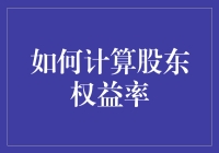 如何合理计算和理解股东权益率：深度解析与实例分析