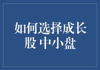 如何选择具有潜力的中小盘成长股：策略与实践