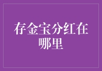 专业讲解：存金宝分红的探索与解析