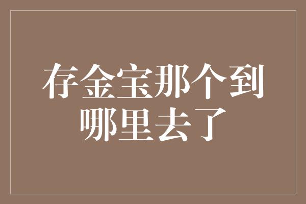 存金宝那个到哪里去了