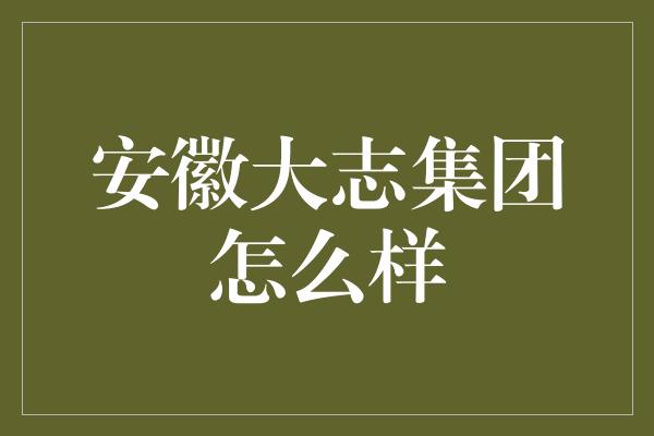 安徽大志集团怎么样