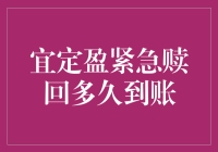 定盈产品紧急赎回机制解析：到账时间的影响因素与优化路径