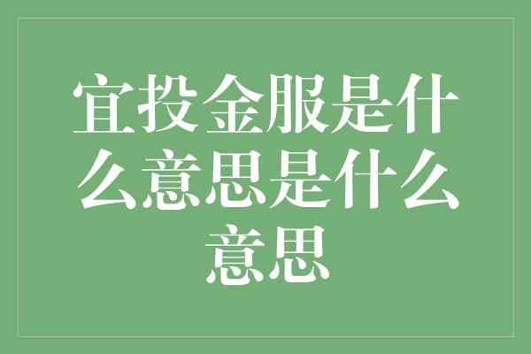 宜投金服是什么意思是什么意思