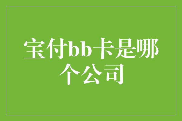 宝付bb卡是哪个公司