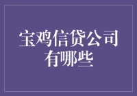 宝鸡市信贷公司分析：融资新选择