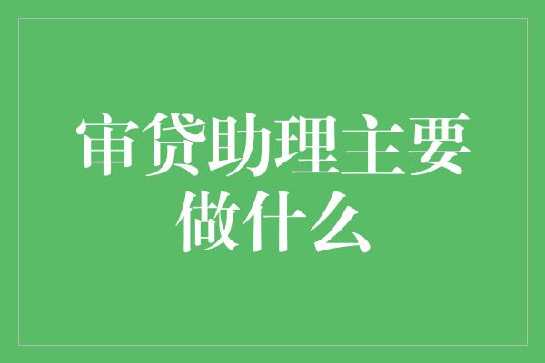 审贷助理主要做什么