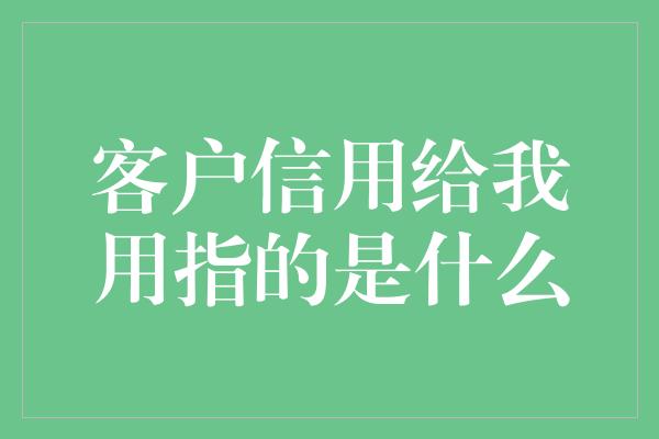 客户信用给我用指的是什么