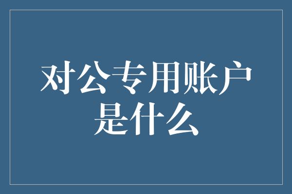 对公专用账户是什么