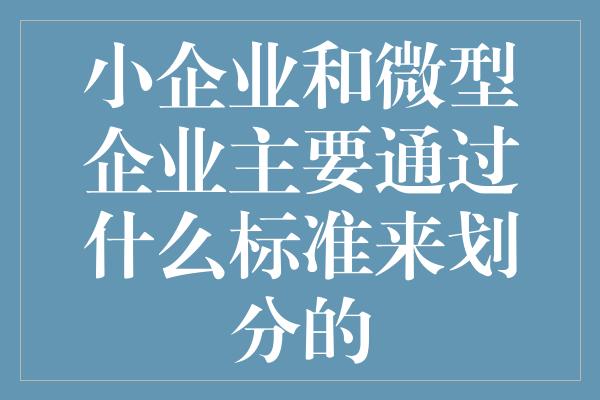 小企业和微型企业主要通过什么标准来划分的