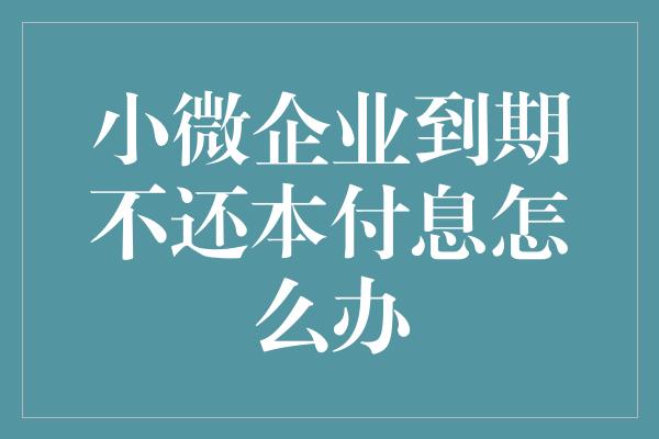 小微企业到期不还本付息怎么办