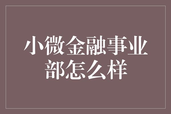 小微金融事业部怎么样