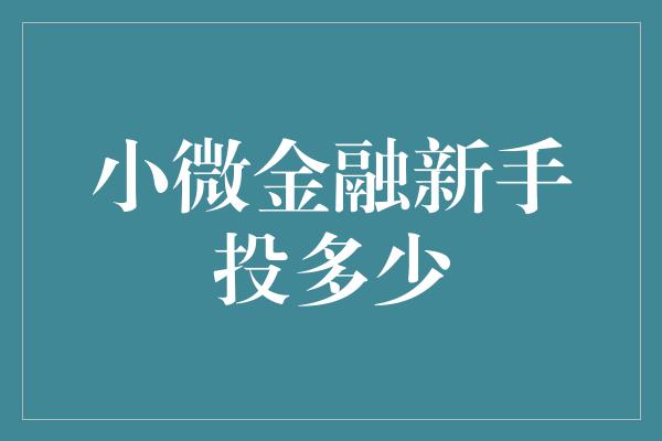 小微金融新手投多少