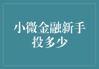 微金融新手首次投资策略：谨慎选择，稳健起步