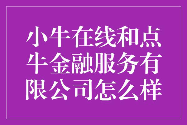 小牛在线和点牛金融服务有限公司怎么样