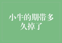 小牛的期待：投资理财如何不掉队？