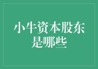 小牛资本股东结构剖析：分析与启示