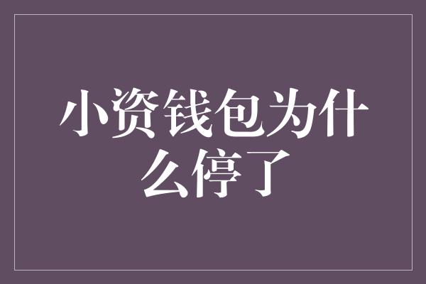 小资钱包为什么停了