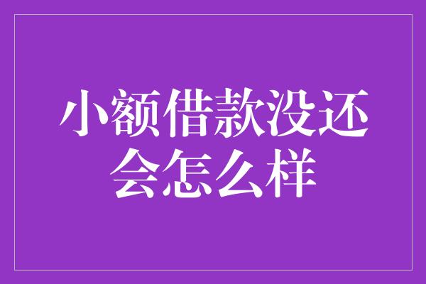 小额借款没还会怎么样