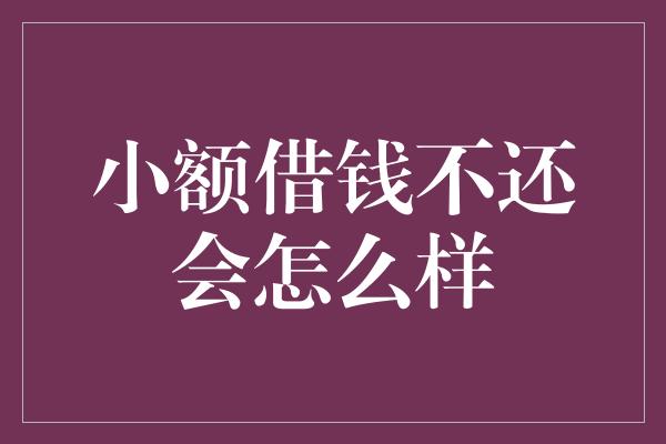 小额借钱不还会怎么样