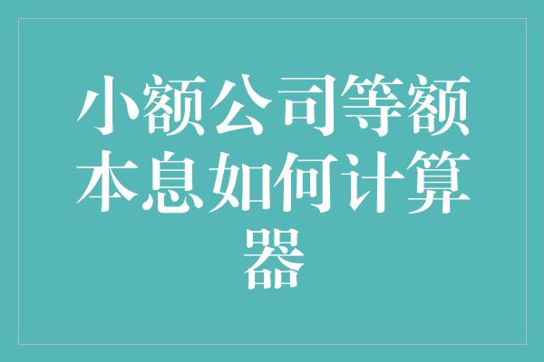 小额公司等额本息如何计算器