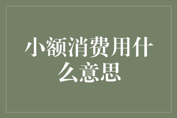 小额消费用什么意思