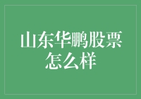 山东华鹏股票分析：是投资的好选择吗？解读小白股民心中的小确幸