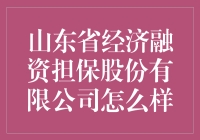 山东省经济融资担保股份有限公司: 构建山东经济新动力