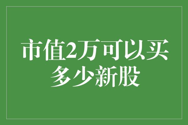 市值2万可以买多少新股