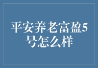 平安养老富盈5号：养老规划新选择