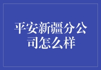 新疆平安分公司：平安集团在新疆地区的品牌展示与社会责任担当