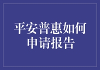 平安普惠申请报告：一场有条不紊的冒险之旅