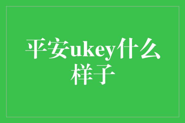 平安ukey什么样子