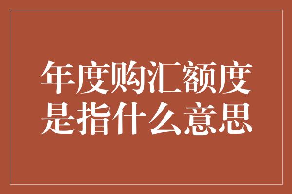 年度购汇额度是指什么意思