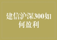 建信沪深300指数基金投资策略解析与盈利前景展望