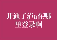 泸a在哪里登录？一场荒诞的追查之旅