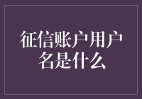 喝醉了都找不到的征信账户用户名是什么？