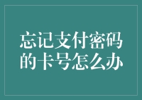 忘记支付密码的卡号怎么办？别怕，这里有四个超实用且有趣的解决方案！